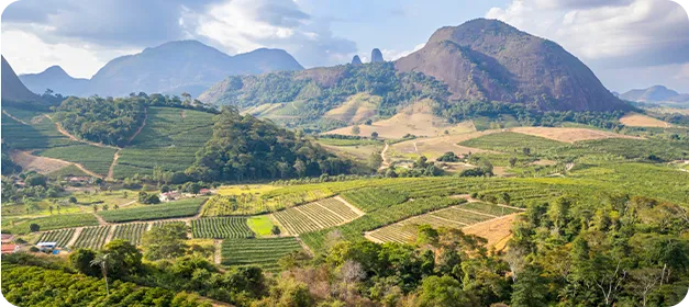Colombia Andean Region