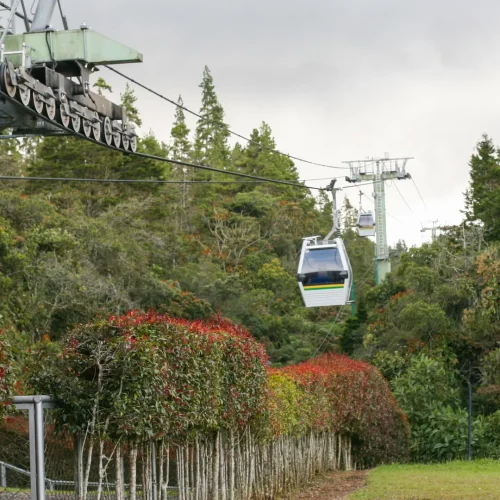 Parque Arvi